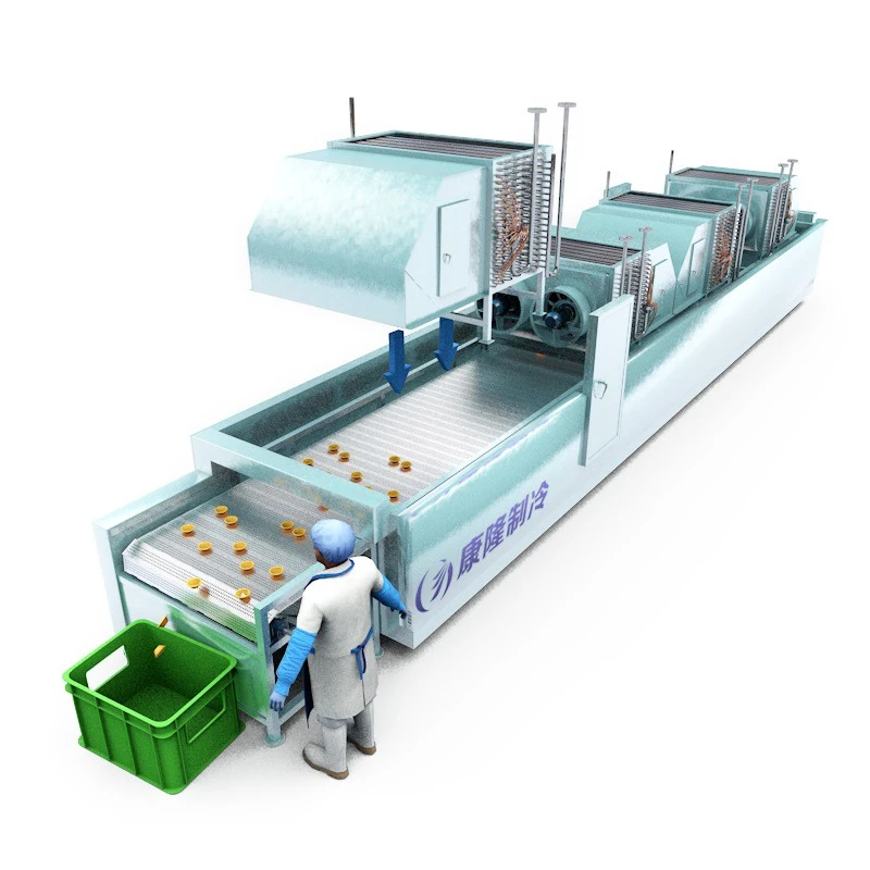 Small Iqf Tunnel Freezer factory